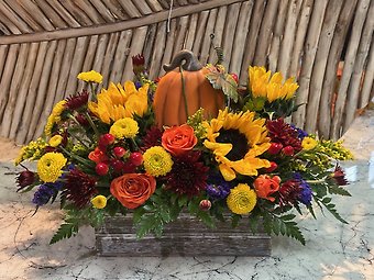 Fall\'s Bounty