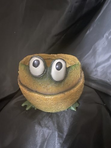 Fred the Frog planter