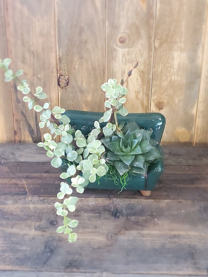 Game day planter