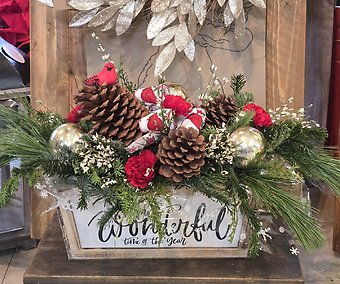 Most wonderful time of year