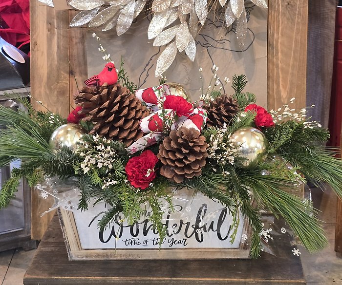 Most wonderful time of year