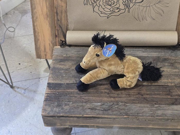 Texas the horse