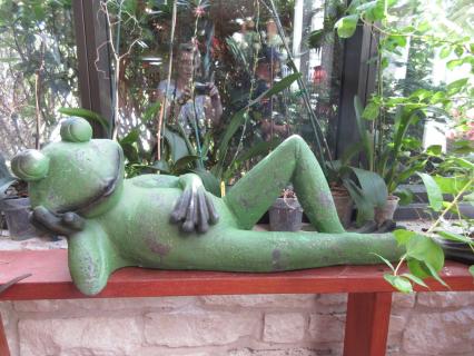 Lounging Frog