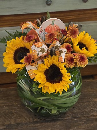 Sunny pumpkin patch