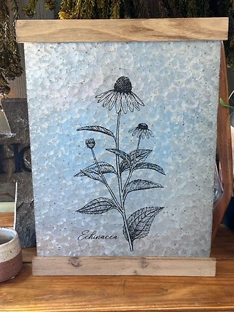 Echinacea Tin Wall Art
