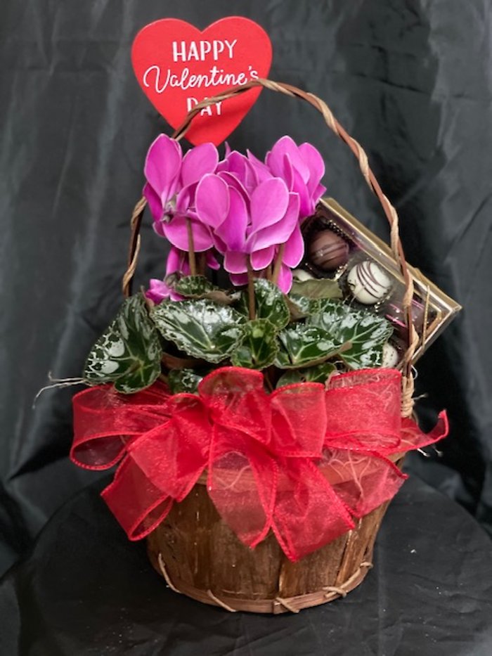 Plant and Candy Basket