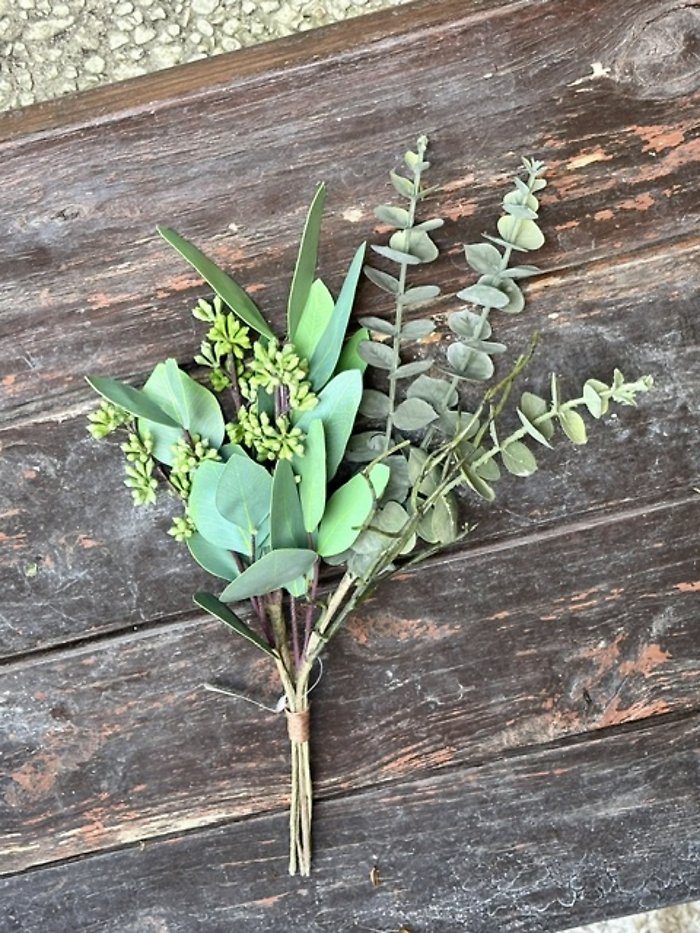 Eucalyptus bunch