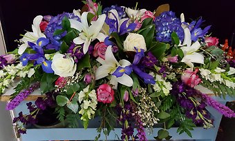 Peaceful Dreams (FBCS-28)