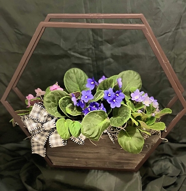 Hexagon Violet Planter Box