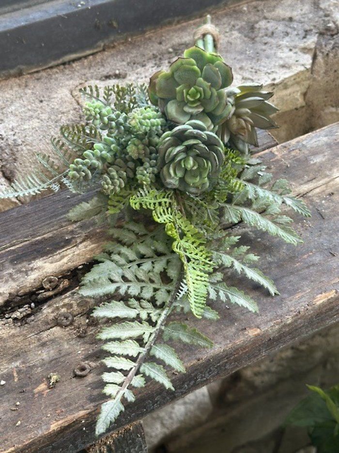 Succulent bunch