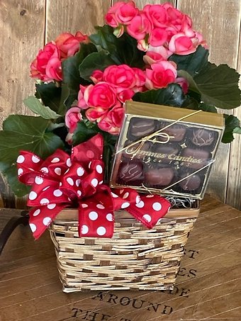 Blooming Plant and Candy