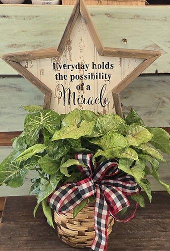 Everyday holds....plant