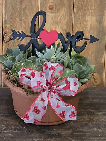 Love grows