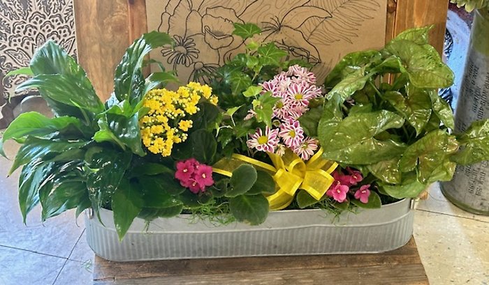 Country Tin Dish Garden