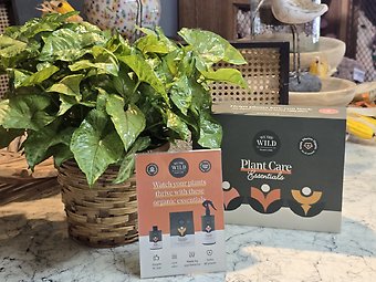 Flourishing plant gift bundle