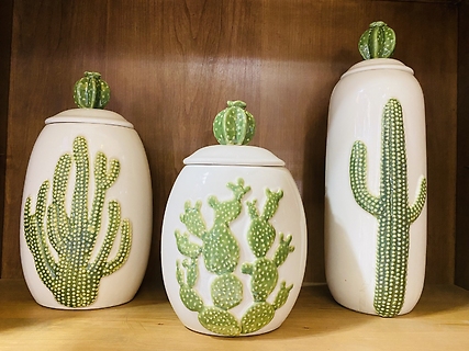 Cactus Jar Set