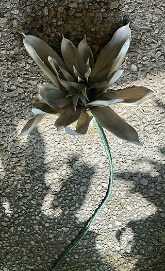 Khaki floral stem