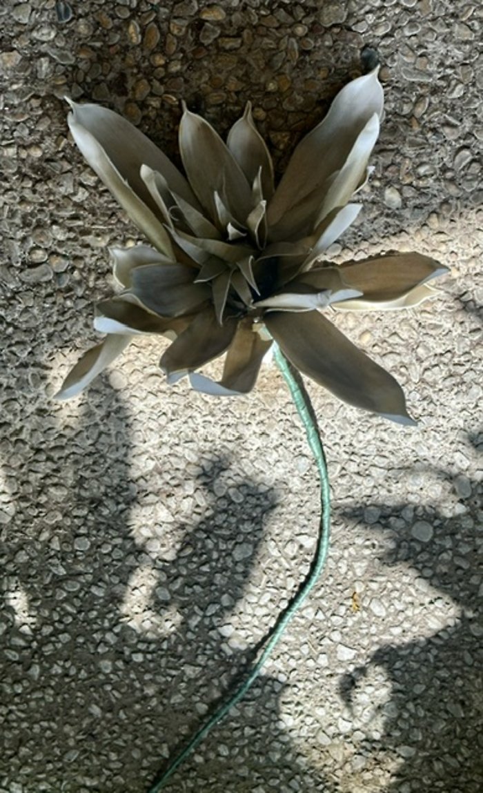 Khaki floral stem