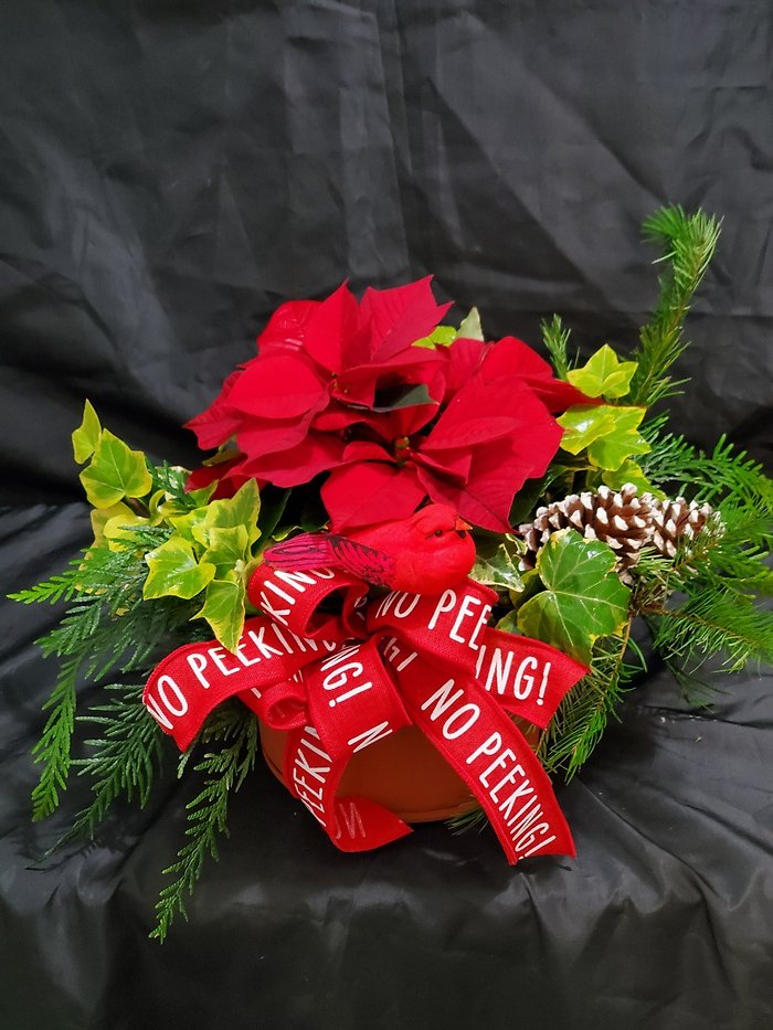 Poinsettia Planter