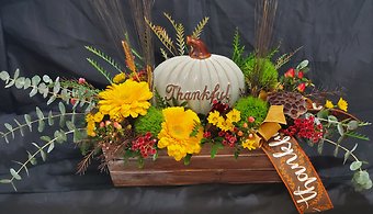 Autumns Abundance