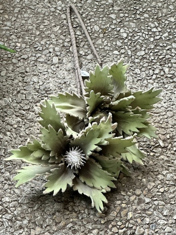 Sage green magnolia stem