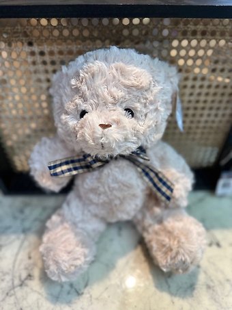 Junior Baxter Bear