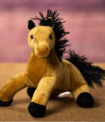 Texas the horse