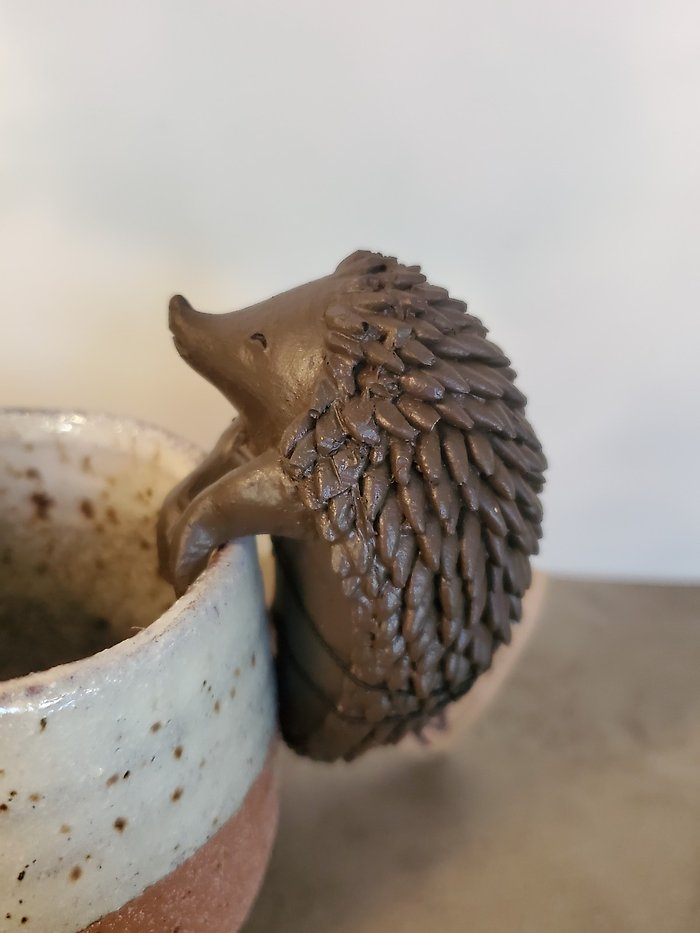 Loveable hedgehog