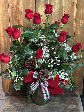 Christmas Roses