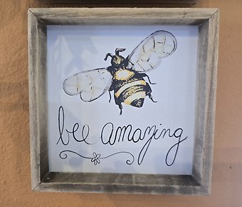 Bee Amazing