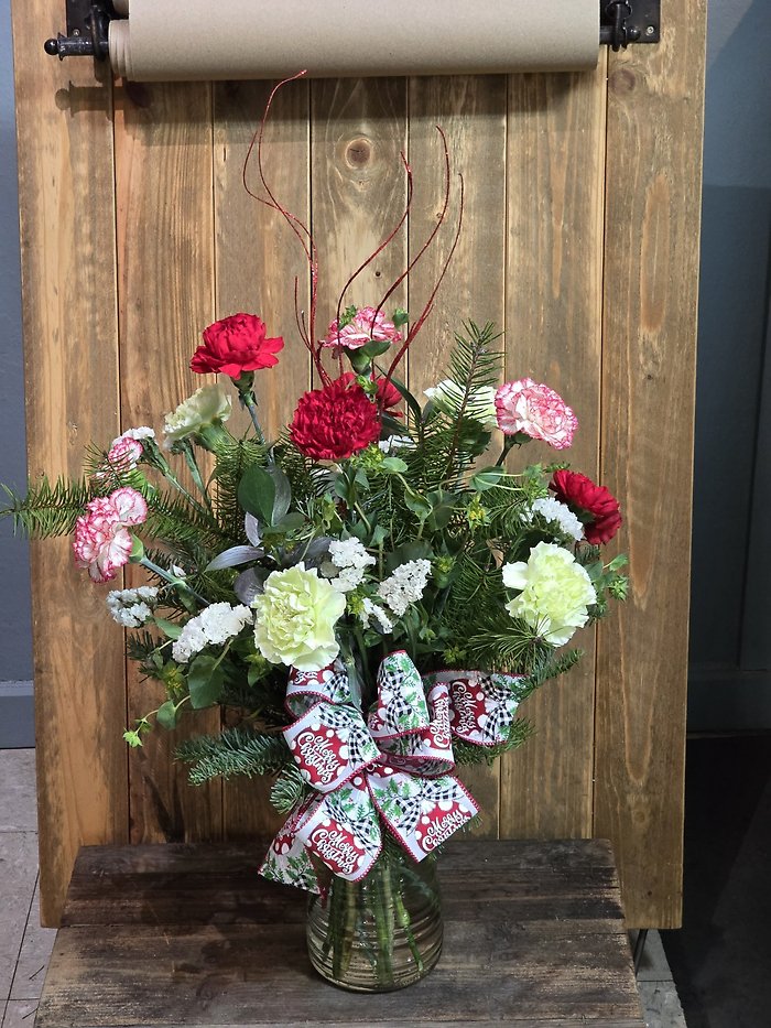 Christmas carnations