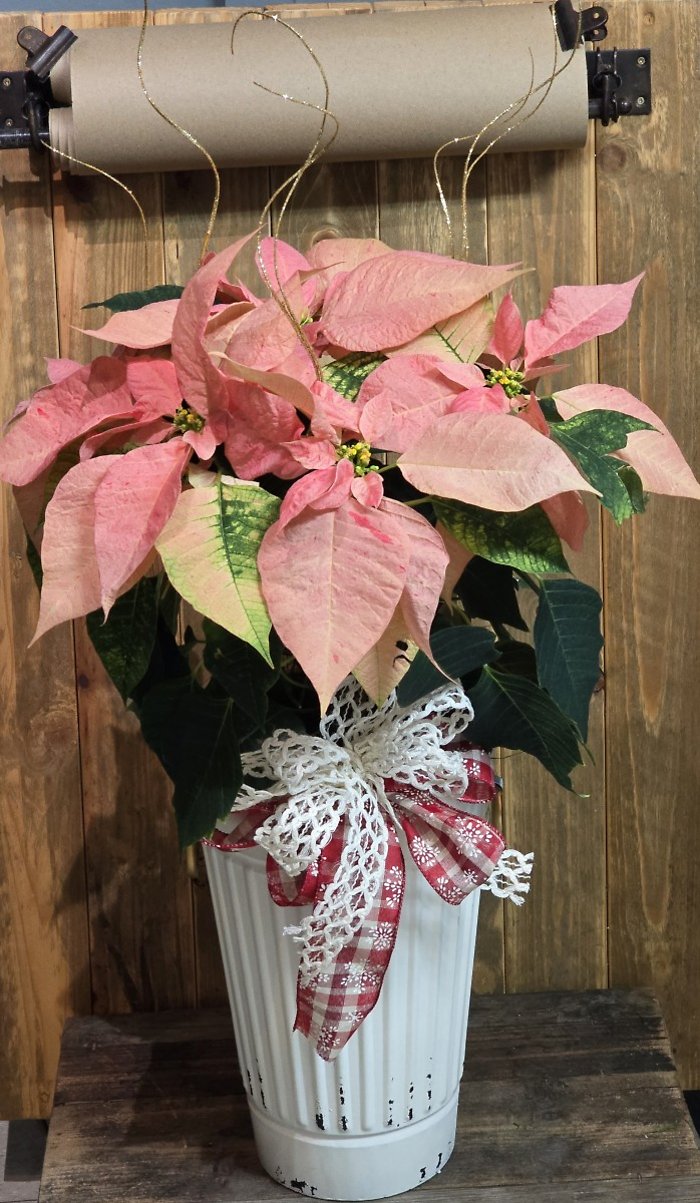 A vintage Christmas