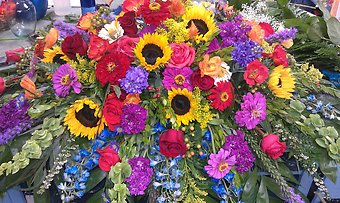 Coat of many Colors