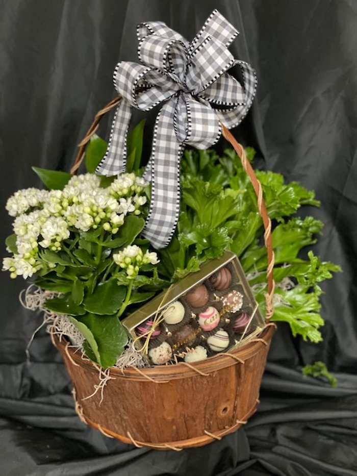 Large Mixed plant and candy basket