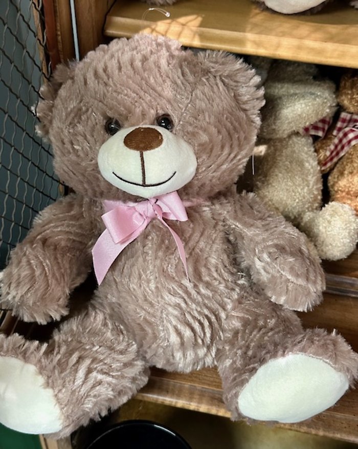 Sable the Bear