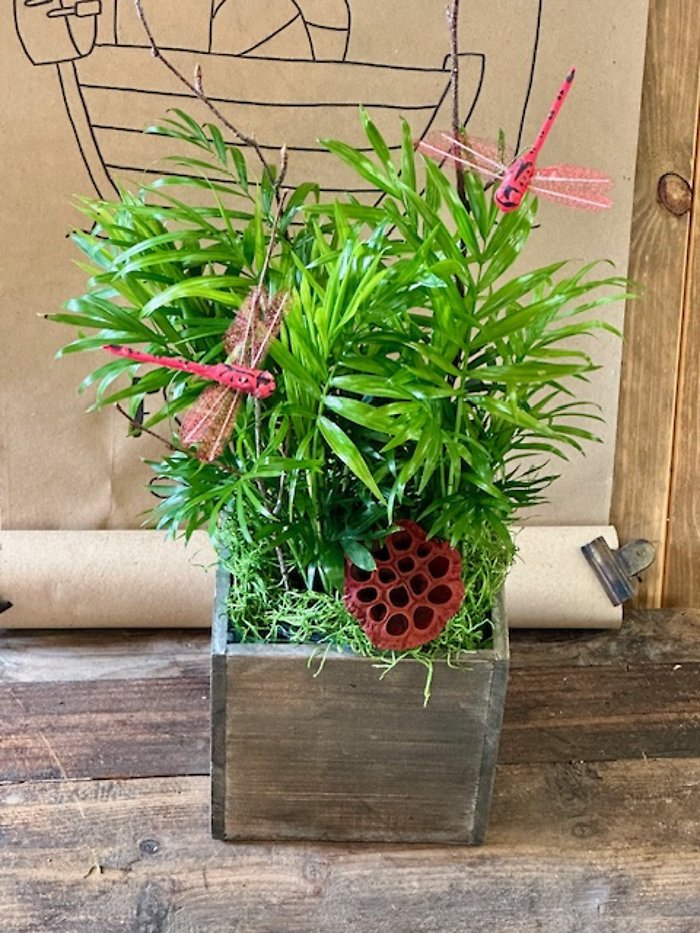 Dad\'s Green Thumb