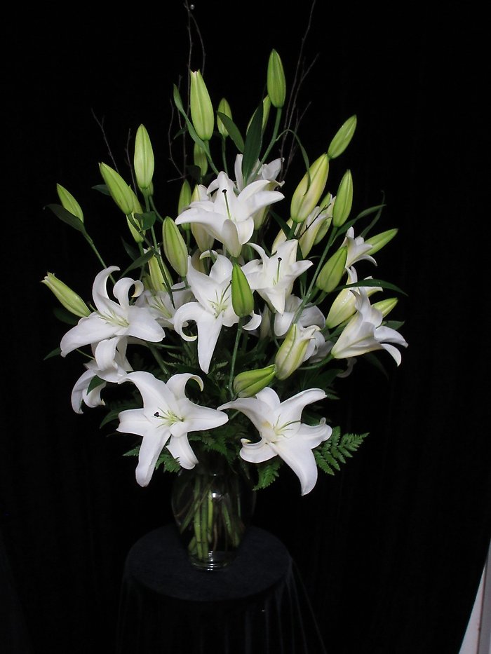 Peaceful Elegance White Lilies