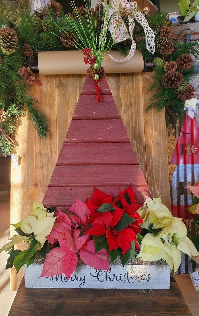 Holiday Tidings