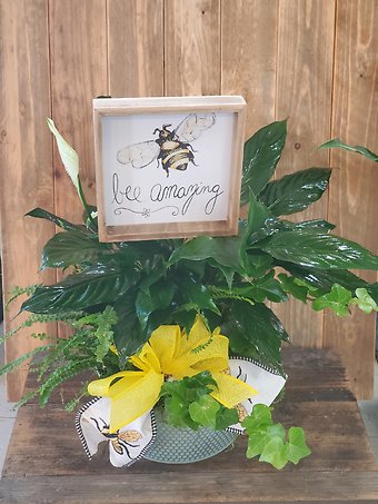 The Hive dishgarden