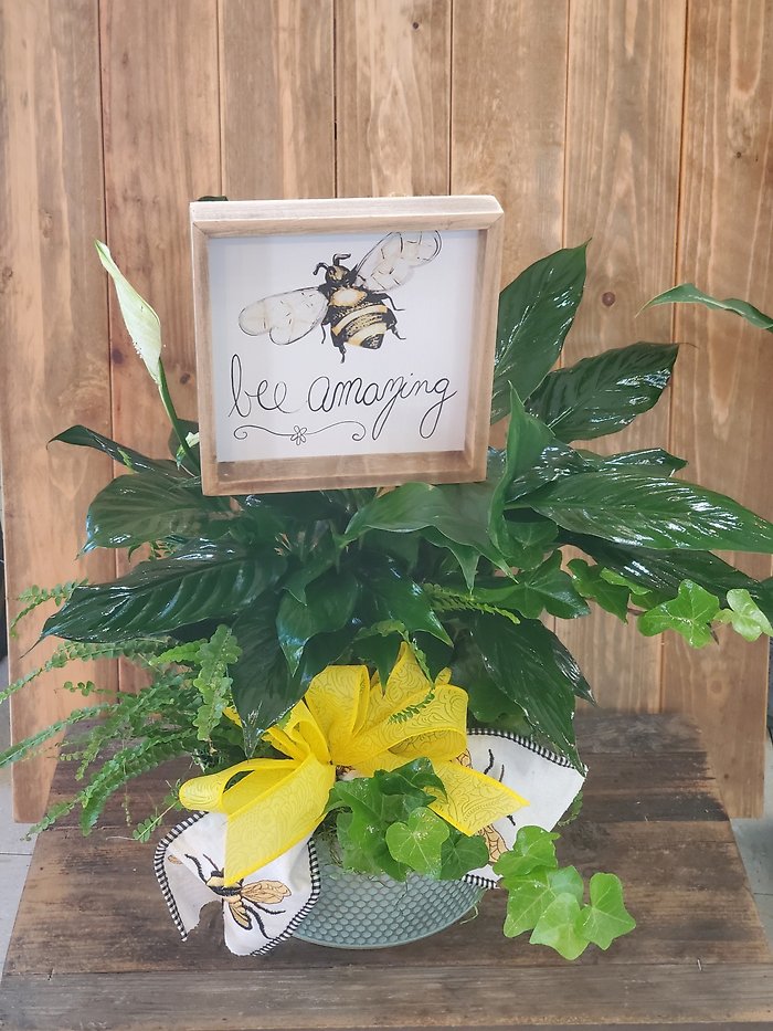 The Hive dishgarden