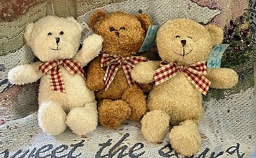 Honey Bear