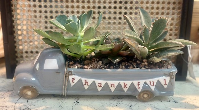 Thankful Succulents