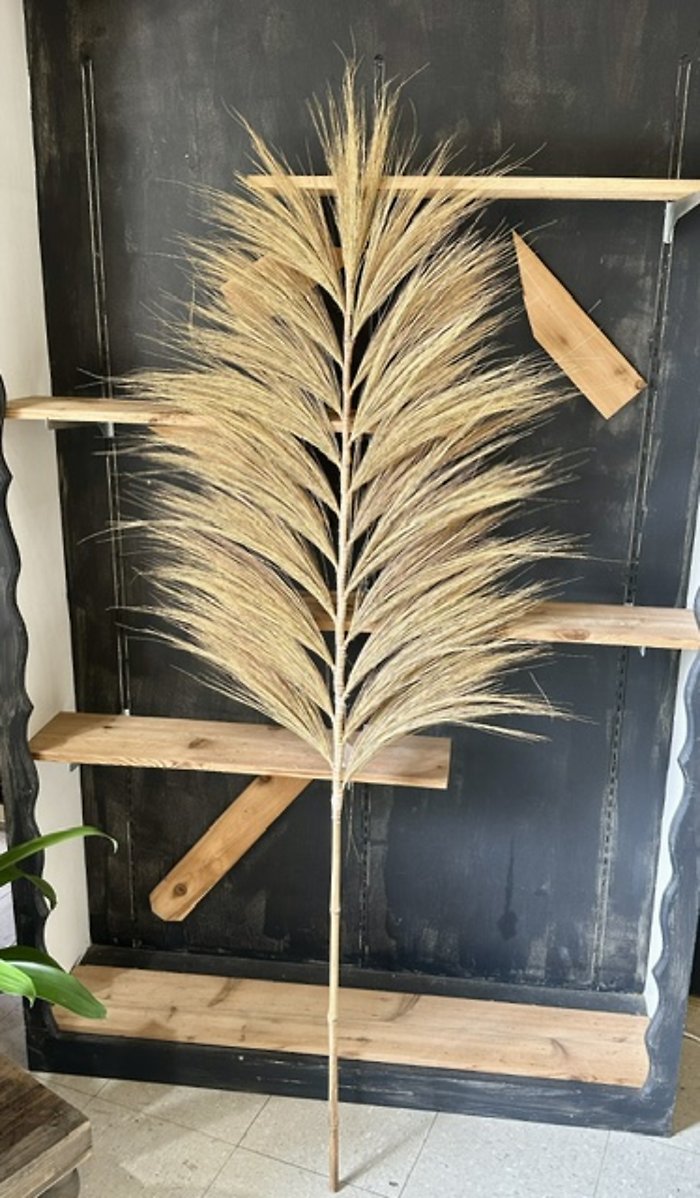 Large grass fan