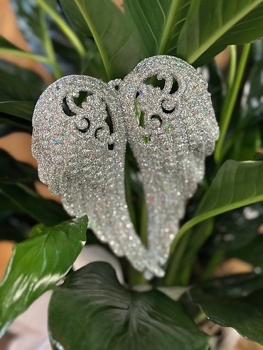Wings of an Angel