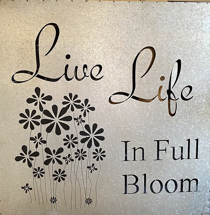 Galvanized Live Life