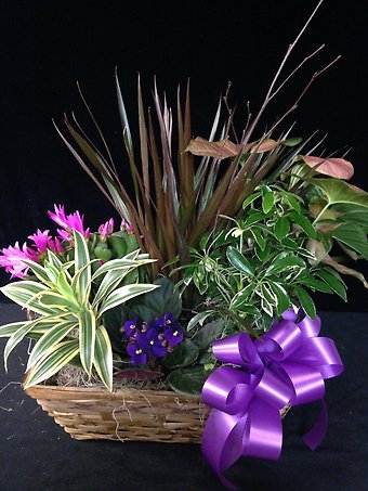 Garden Remembrance