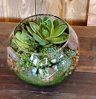 Succulent Bubble Bowl