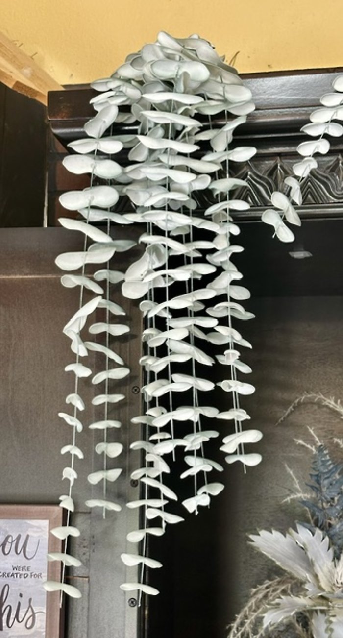 Hanging foliage
