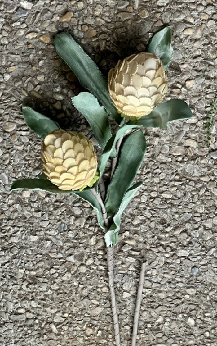 Double protea stem
