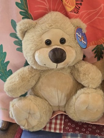 Butterscotch bear